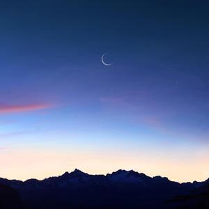 人禽杂交18禁网站免费
